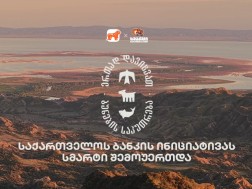 დაცული ტერიტორიები