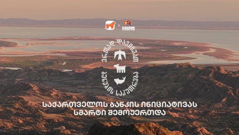 საქართველოს ბანკი