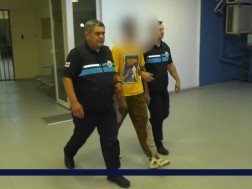 მიგრაცია