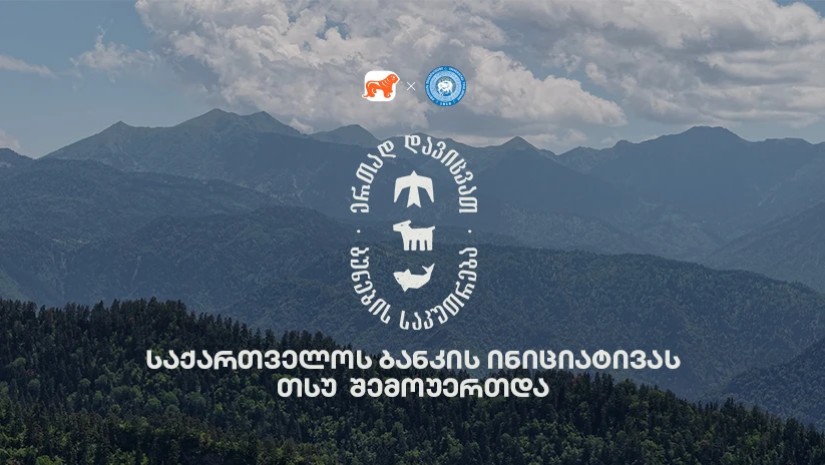 თსუ