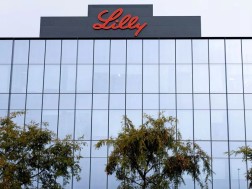 lilly