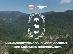 CNF