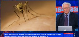 ამირან გამყრელიძის საავტორო პროლოგი