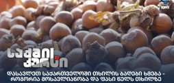 თხილის ბაღები
