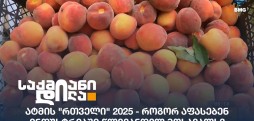 ატმის "რთველი" 2025