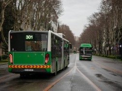 ავტობუსები