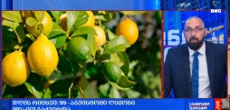 #დღისრიცხვი