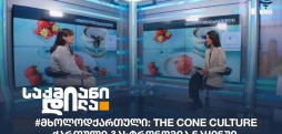 ქეთი მიქაშავიძე