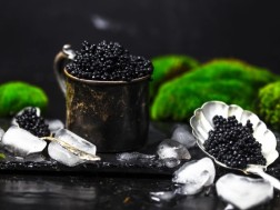 ხიზილალა