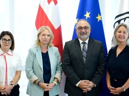 ნათია თურნავა ნინო ჯელაძე IMF