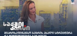 ნინო დევდარიანი