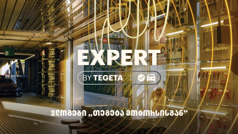 თეგეტა ექსპერტი