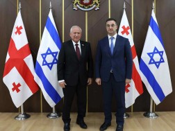 დავით სონღულაშვილი
