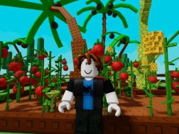 grow a garden
