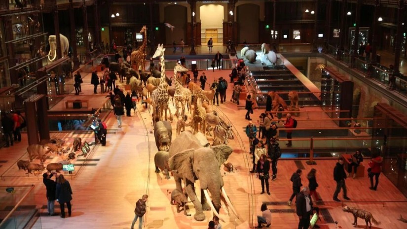 Musee naturel