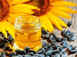 მზესუმზირა