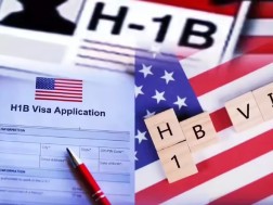h1b