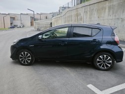 ჰიბრიდი