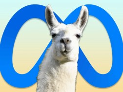 Llama