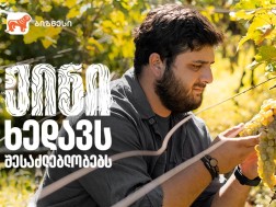 გიორგი ამისულაშვილი