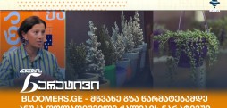 ანუკა ფოლადიშვილი