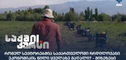 ჩრდილოვანი ეკონომიკის წილი