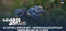 #ბიზნესისსიახლეები