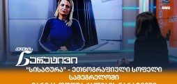 მარიკა თოდუა