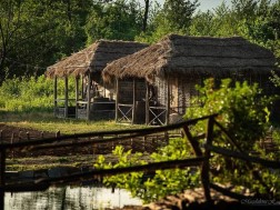 სისატურა