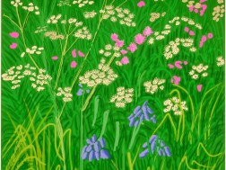 1. David Hockney