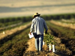 ფერმერი