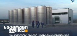 ასკანელი