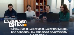 ინოვაციური საყელური ძაღლებისთვის