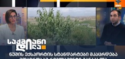 ლევან ქვარიანი
