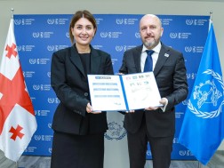 თამარ იოსელიანი