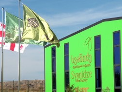 სვანიძე
