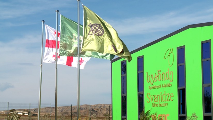 სვანიძე