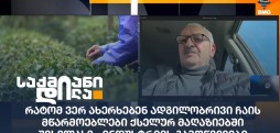 ჩაის მწარმოებლები