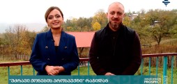#უძრავიქონებისპროსპექტი რაჭიდან
