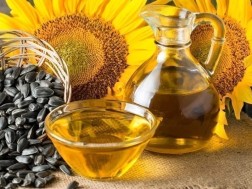 მზესუმზირის ზეთი