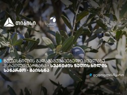 ზეთისხილი