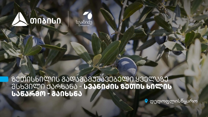 ზეთისხილი