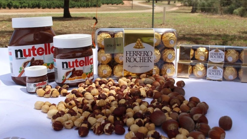 Ferrero