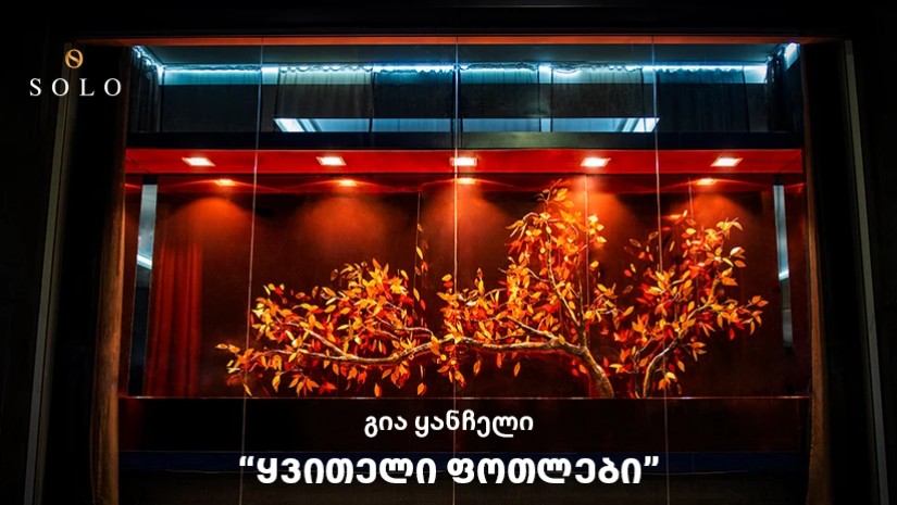 ყვითელი ფოთლები