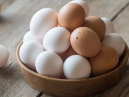 კვერცხი