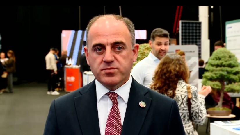 დავით ნარმანია