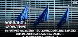 მხოლოდ სტატუსი - EU პერსპექტივის გარეშე,