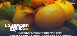 ნარინჯისფერი რთველი