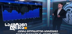 ნიკა მაზანაშვილი