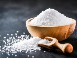 Salt Imports